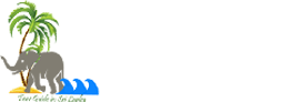 Tour guide in sri lanka
