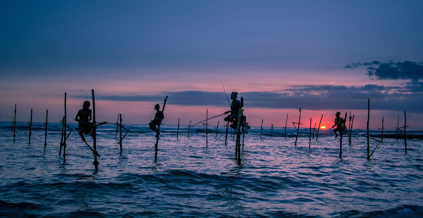 Weligama stilt Fisherman
