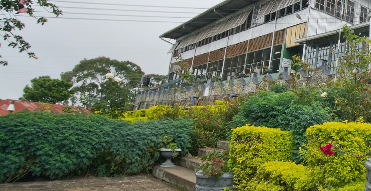 Dambatenna Tea Factory