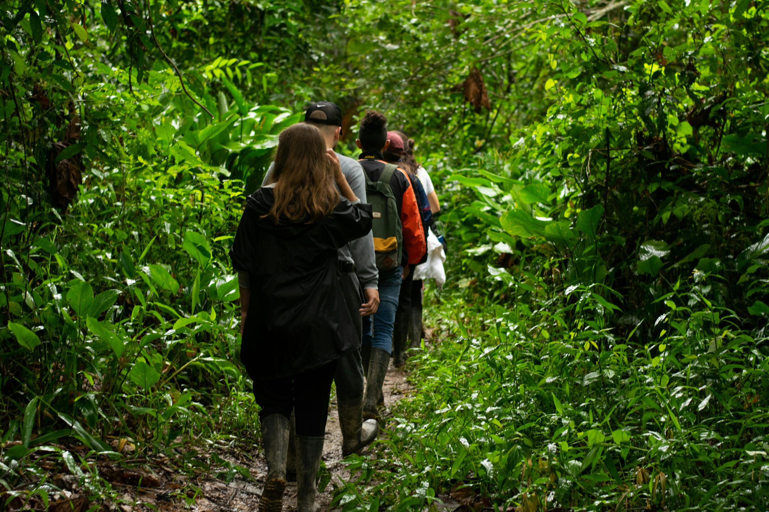 Rainforest Trekking