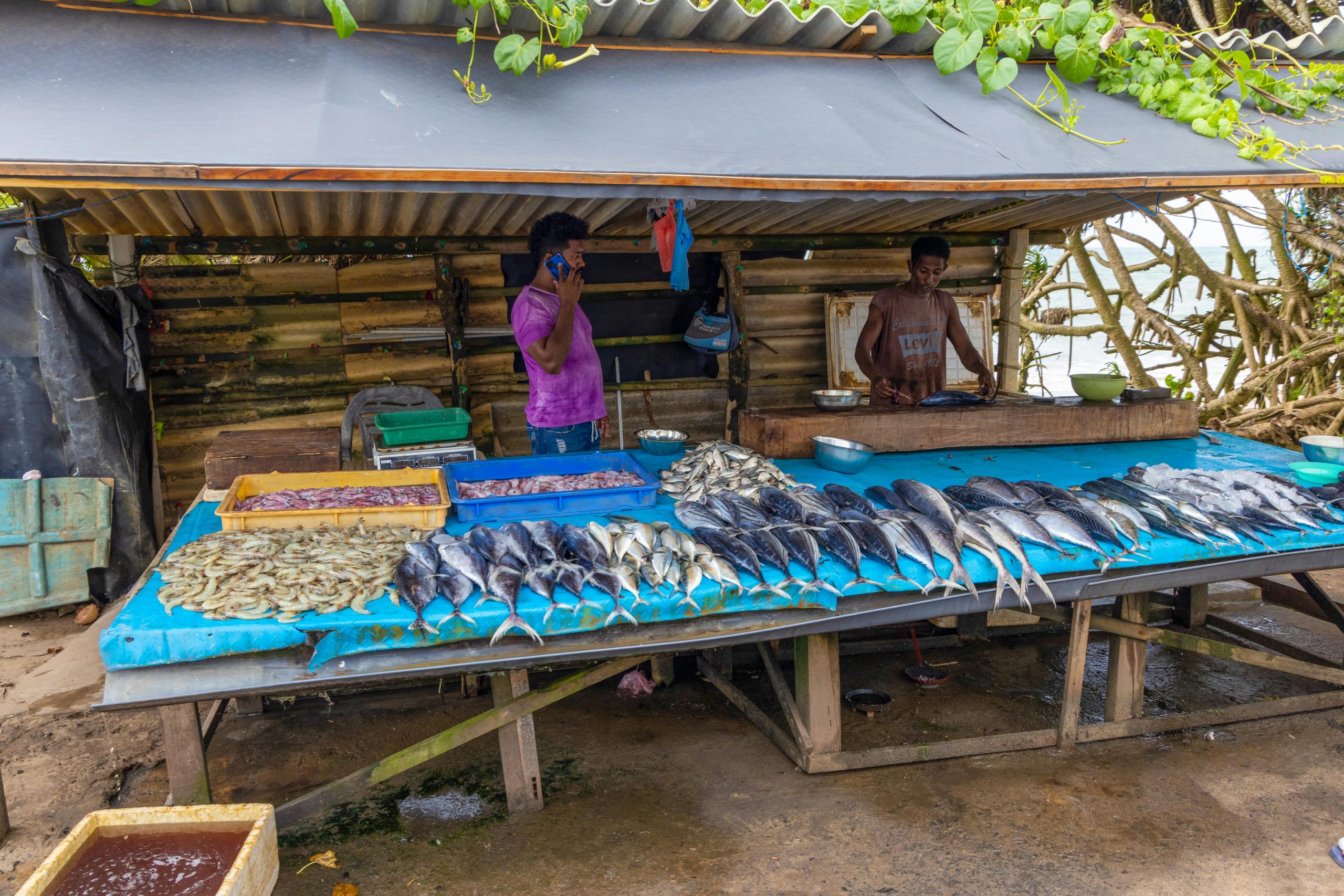 Negombo Fish Market (Lellama)