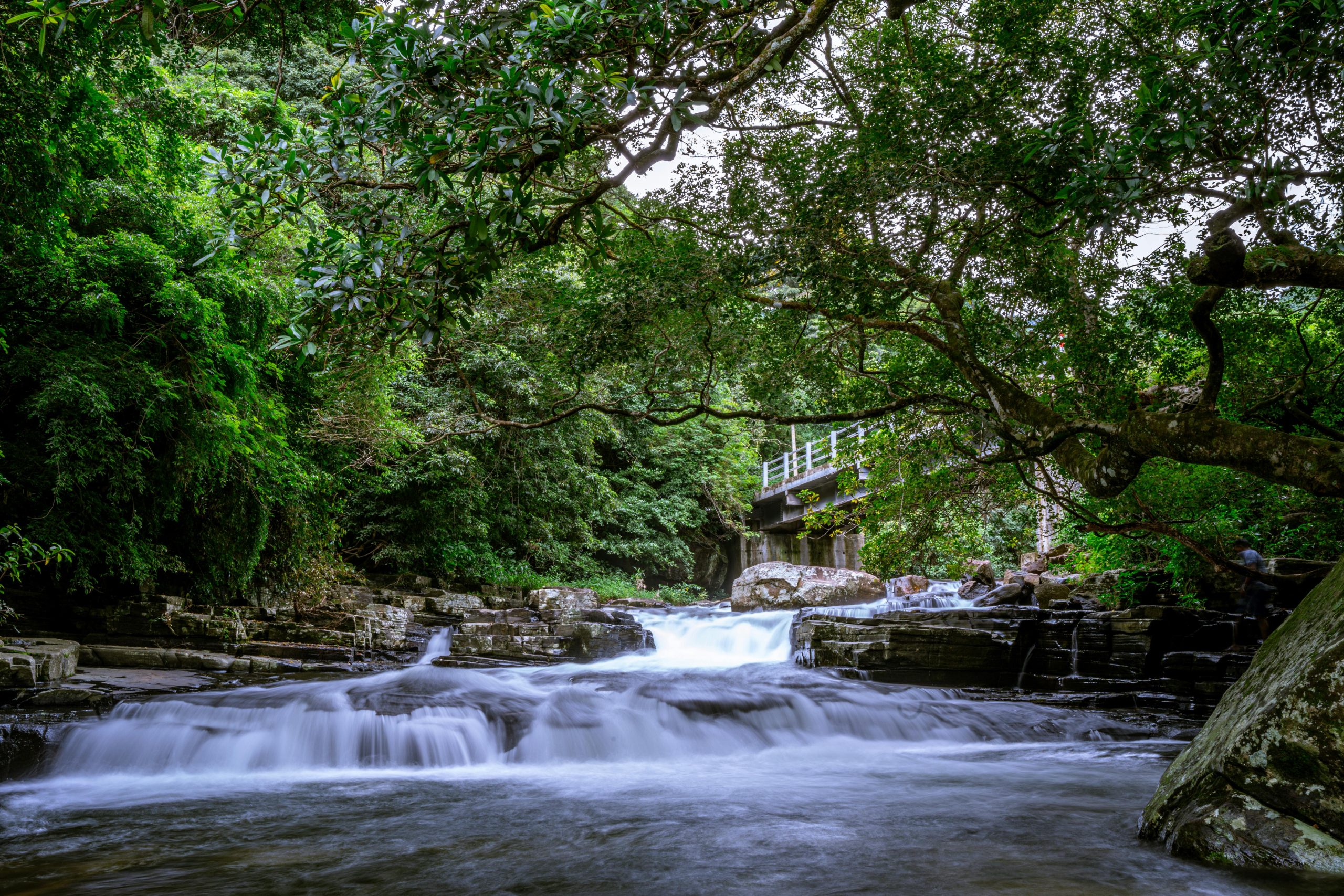 🌿 Nature & Sightseeing
