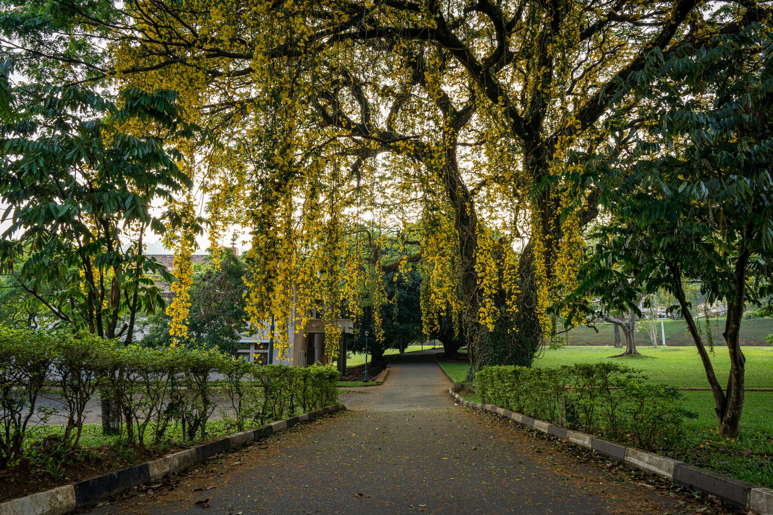 Royal Botanical Gardens