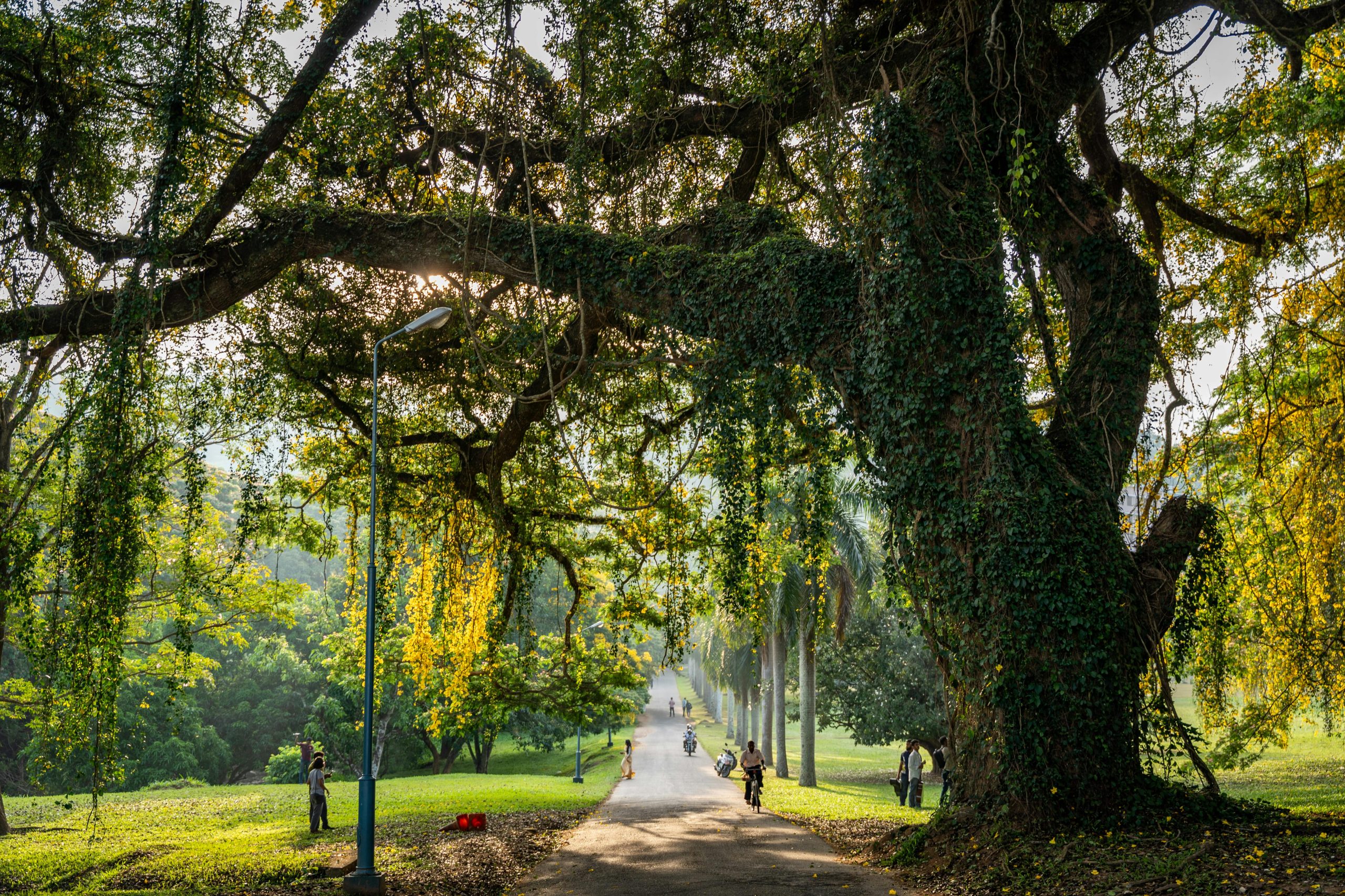 Royal Botanical Gardens