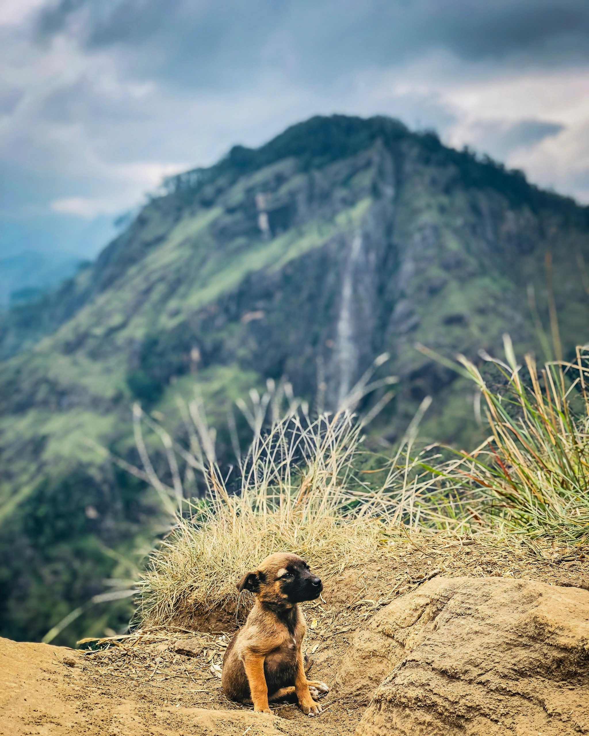 Little Adams Peak